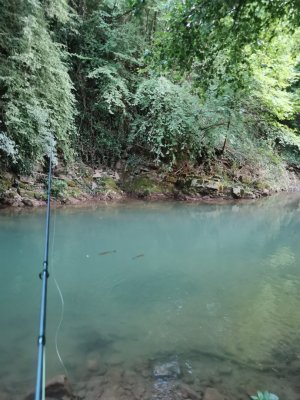 IMG_20240711_195456.jpg