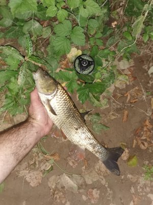 IMG_20240711_201738.jpg