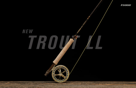 sagetroutll3_1082x700.png