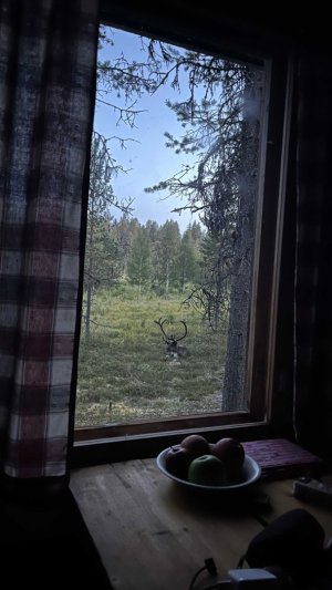 r_IMG_6695.jpg r_IMG_6695.jpg