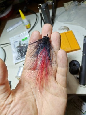 1000021160.jpg