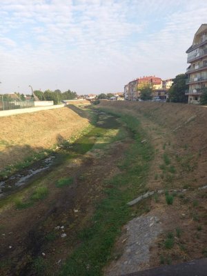 IMG_1409.jpeg