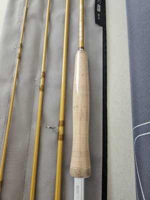 20241123_101019.jpg