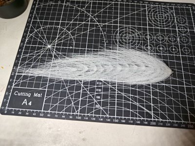 1000031515.jpg