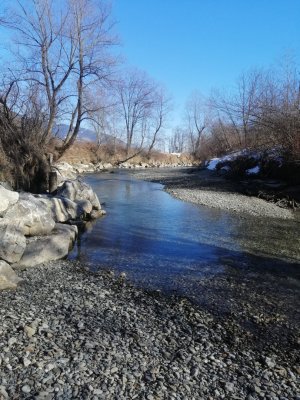 IMG_20250208_132934.jpg