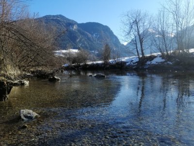 IMG_20250208_135323.jpg