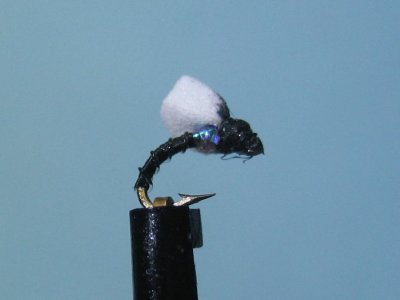Foamie Homie.JPG