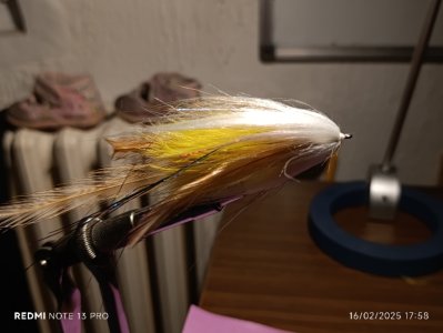 Resizer_17397263883141.jpeg