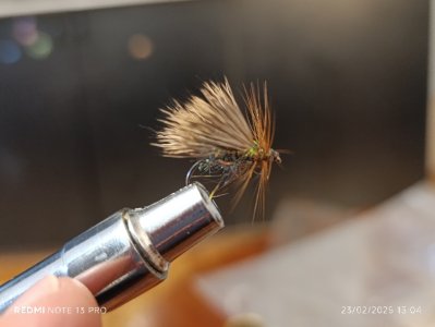 Resizer_17403172970617.jpeg