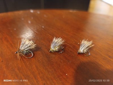 Resizer_17403172801533.jpeg