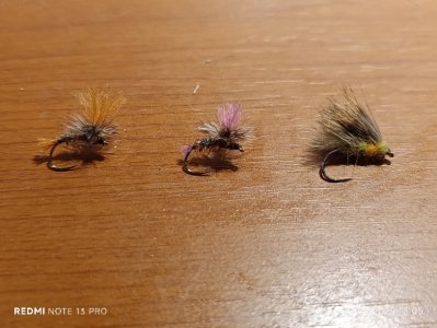 Resizer_17407609485271.jpeg