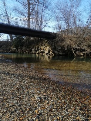 IMG_20250308_142117.jpg