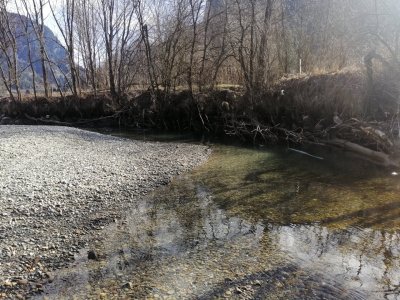 IMG_20250308_150740.jpg