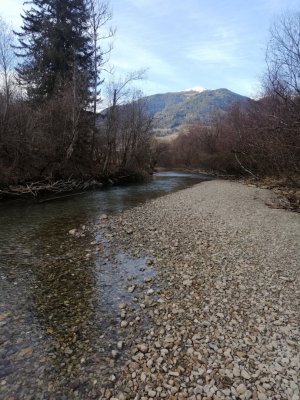 IMG_20250308_160341.jpg