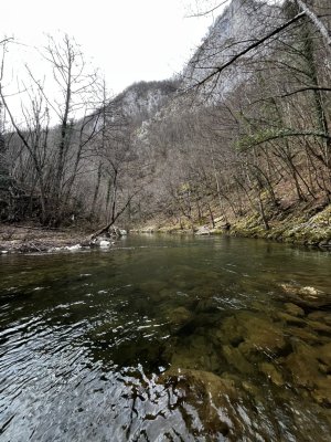IMG_3732.jpeg