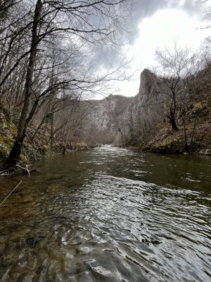 IMG_3731.jpeg