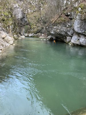 IMG_2484.JPG