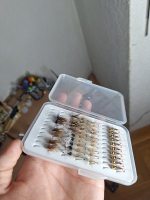 20240802_220540.jpg