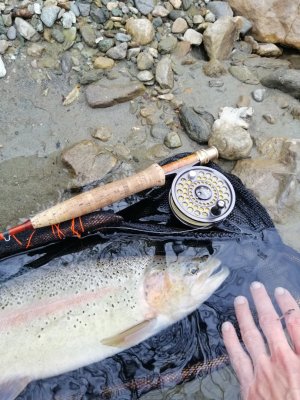 IMG_20250414_172801.jpg