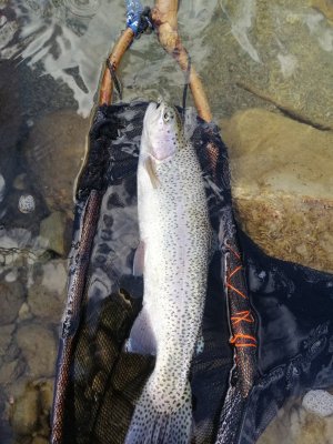 IMG_20250416_160618.jpg