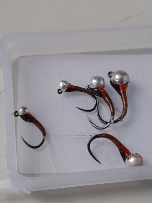 20250419_123229.jpg