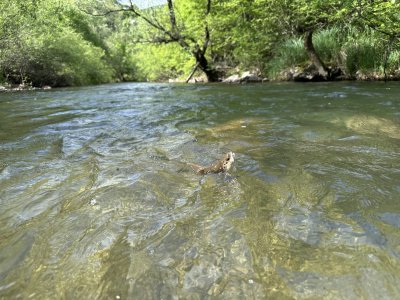 IMG_2992.jpeg