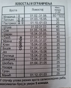 20250530_115525.jpg
