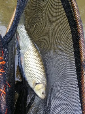 IMG_20250601_173259.jpg