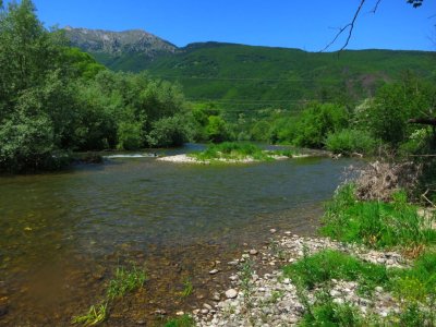 IMG_0675.JPG