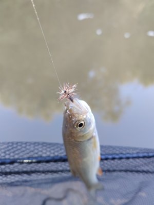 IMG_20250614_063903.jpg