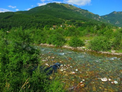IMG_0804.JPG