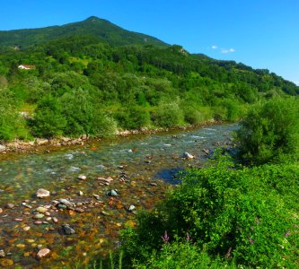 IMG_0806.JPG