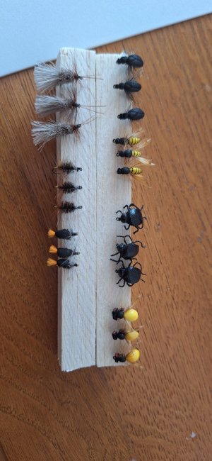 20250711_154347.jpg