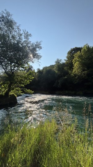 IMG_7004.jpeg