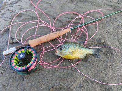 IMG_20250815_173114.jpg