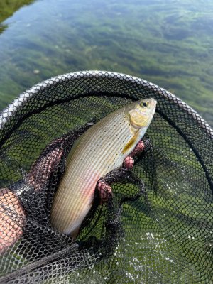 IMG_0739.jpg