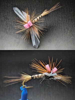 mayflyparaspinner.jpg mayflyparaspinner.jpg