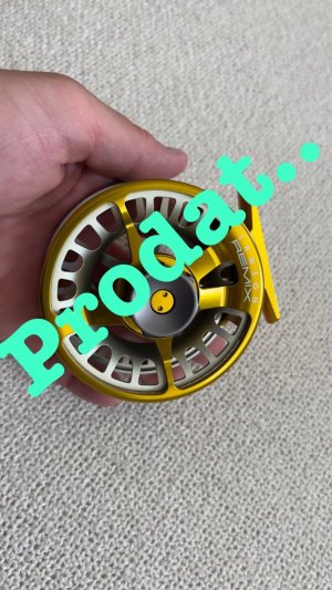 IMG_7631.jpeg