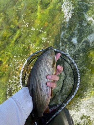 IMG_0985.jpg