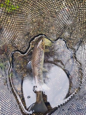 IMG_20250930_182336388.jpg