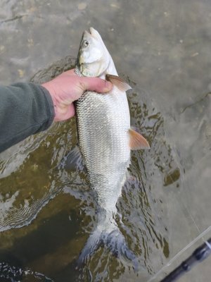 IMG_20251108_131406.jpg