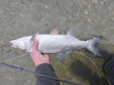 IMG_20251108_155954.jpg