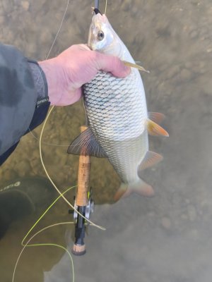 IMG_20251207_124941.jpg