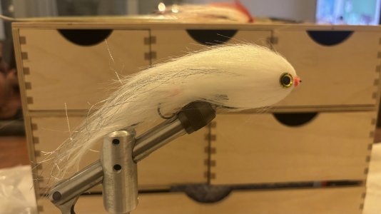 IMG_7745.jpeg IMG_7745.jpeg