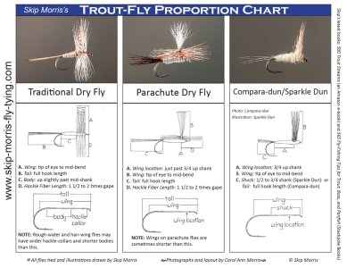skipmorris_fly_proportions_page-0001.jpg