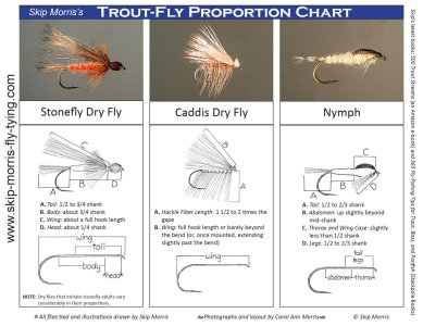 skipmorris_fly_proportions_page-0002.jpg
