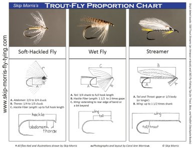 skipmorris_fly_proportions_page-0003.jpg