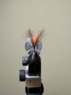 IMG_5518.jpeg