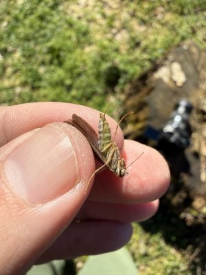 IMG_3276.jpeg IMG_3276.jpeg
