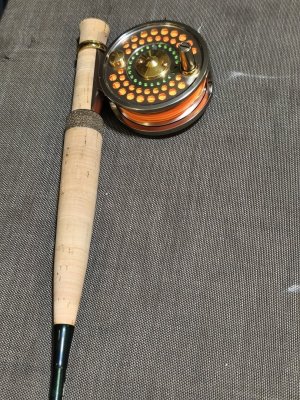 IMG_20260227_190056.jpg